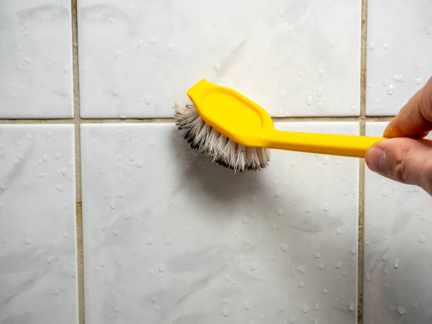 Best Mold Testing  in Northlake, IL