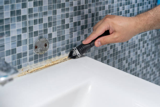 Professional Mold Removal in Northlake, IL
